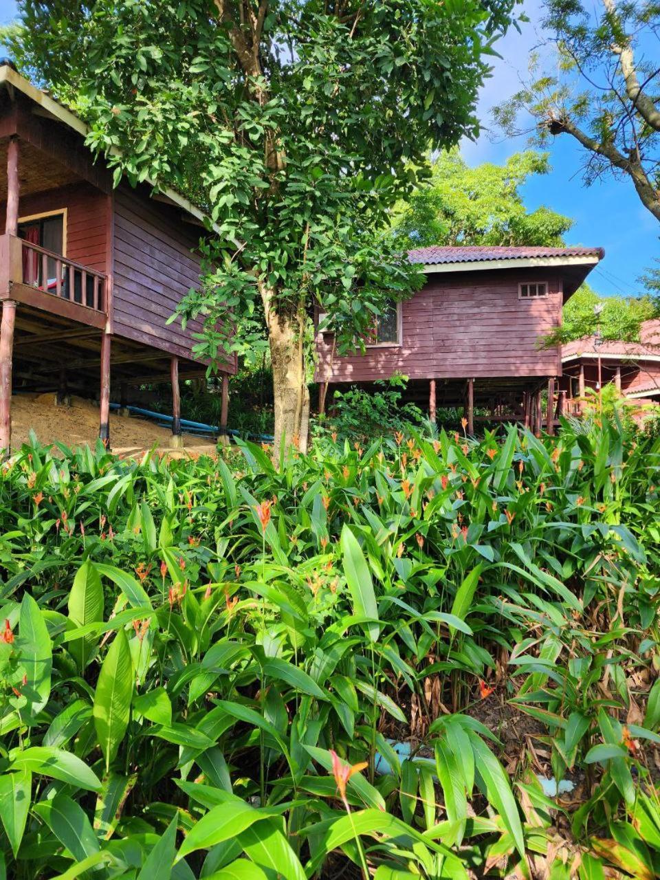Sweet Jungle Bungalows Kaoh Touch Eksteriør bilde