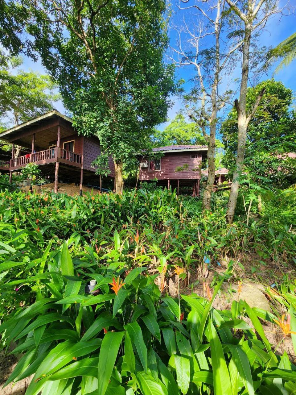 Sweet Jungle Bungalows Kaoh Touch Eksteriør bilde