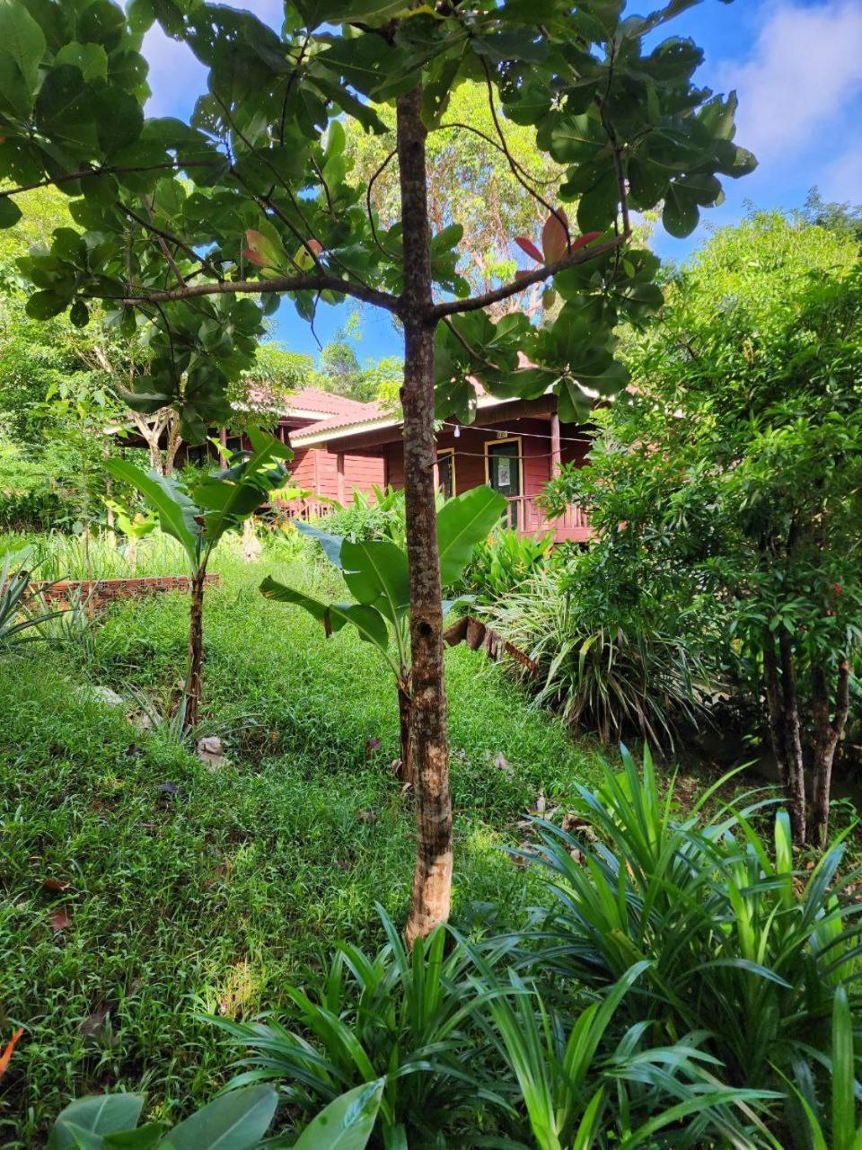 Sweet Jungle Bungalows Kaoh Touch Eksteriør bilde